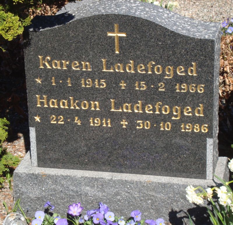 Haakon Ladefoged.JPG